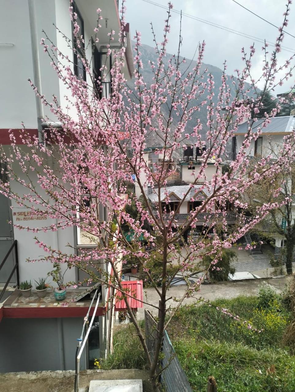 Aman Inn 达兰萨拉 外观 照片